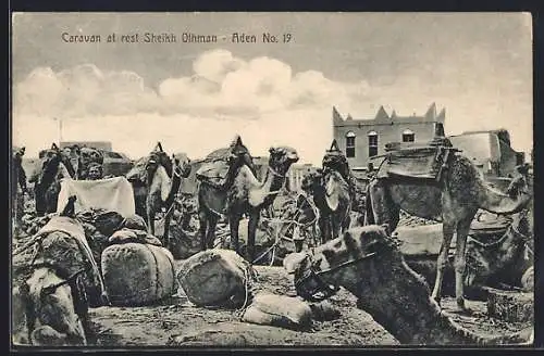 AK Aden, Caravan at rest Sheikh Othman, Kamelkarawane