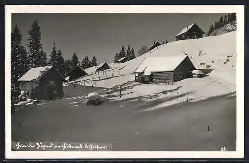 AK Goisern, Salzkammergut, Heim der Jugend a. d. Hütteneckalm im Schnee