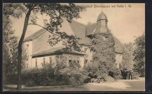 AK Halle / Westfalen, Blick zum Schloss Steinhausen