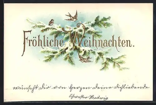 AK Fröhliche Weihnachten, Schwalben auf einem verschneiten Tannenzweig