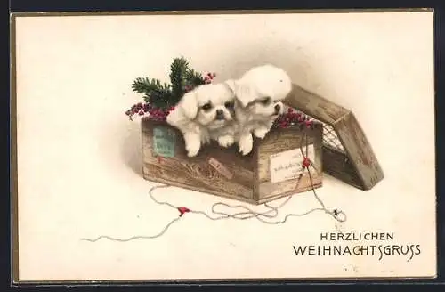 AK Weihnachtsgruss, Hunde in einer Holzkiste mit Tannenzweig