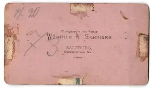 Fotografie Würthle & Spinnhirn, Salzburg, Ansicht Ebensee, Blick vom Berg nach dem Ort