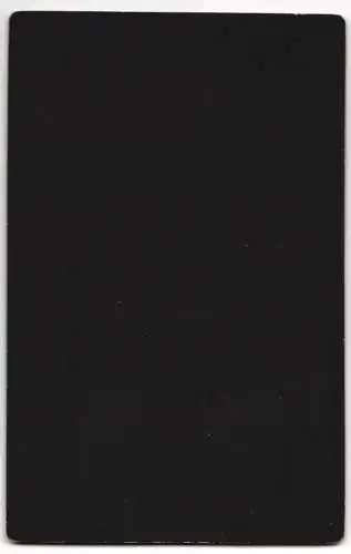 Fotografie Th. Bloch, Frederiksborg, Ansicht Hillerod, Innenansicht der Schlosskirche, Orgel