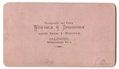Fotografie Würthle & Spinnhirn, Salzburg, Ansicht Mondsee, Blick über den See nach der Drachenwand