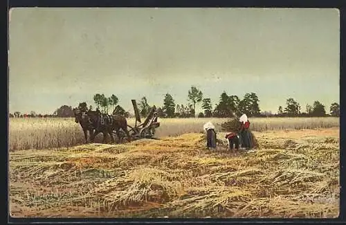 AK Bauern mit einem Pferdepflug arbeiten auf dem Feld