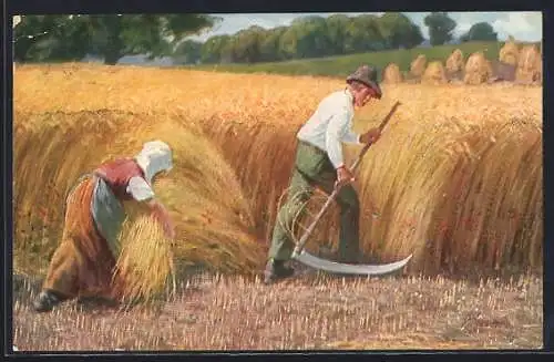 AK Bauernpaar erntet Getreide auf dem Feld