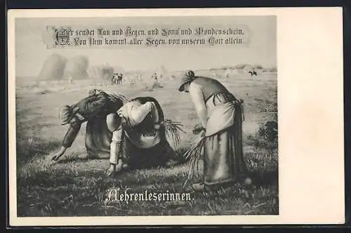 AK Aehrenleserinnen bei der Arbeit auf dem Feld