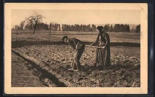 AK Bauernpaar bei der Arbeit auf dem Feld, Landwirtschaft