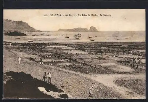 AK Cancale, Les Parcs, Au loin, le rocher de Cancale, Muschelfischer