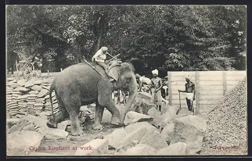 AK Ceylon, Arbeits-Elefant bei der Arbeit in einem Steinbruch