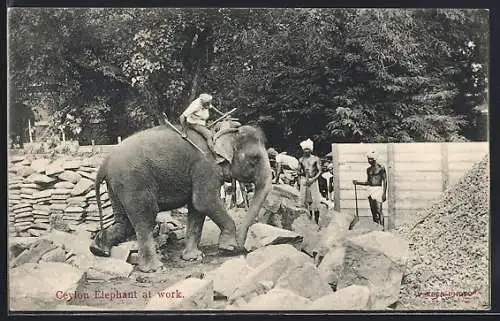 AK Ceylon, Arbeits-Elefant bei der Arbeit in einem Steinbruch