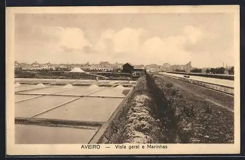 AK Aveiro, Vista geral e Marinhas