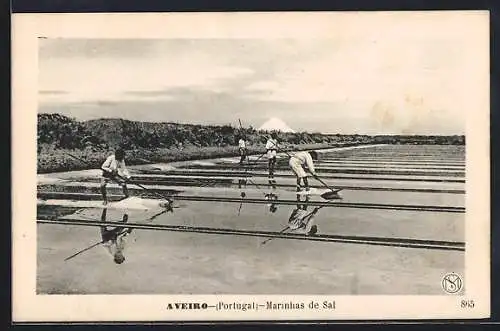 AK Aveiro, Marinhas de Sal