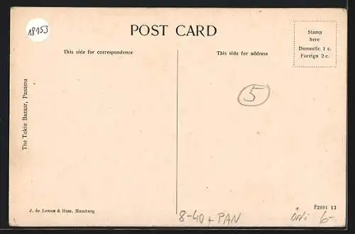 AK Ancon Quarry, A steam shovel buried at Ancon Quarry, verschütteter Bagger