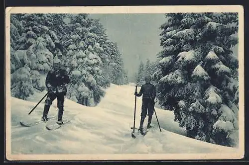 AK Winter im Erzgebirge, Paar beim Langlauf