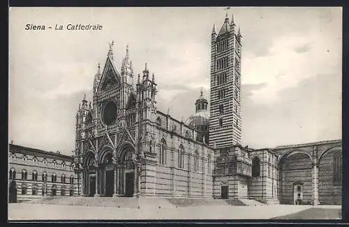 AK Siena, La Cattedrale