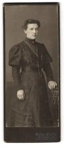 Fotografie Franz Ehrlich, Dresden, Königsbrückerstrasse 105, Porträt einer Dame in elegantem Kleid