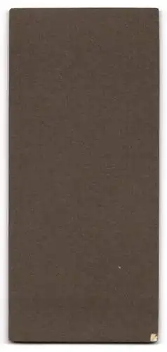 Fotografie E.W. Matthias Nachf., Seifhennersdorf i/S., Junge mit Anzug und Buch