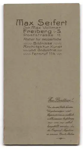 Fotografie Max Seifert, Freiberg, Poststrasse 11, Porträt einer Dame