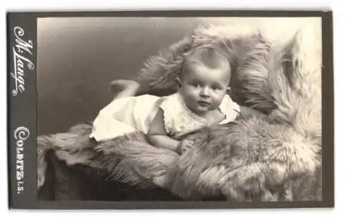 Fotografie M. Lange, Colditz, Porträt eines Kleinkindes auf Pelzdecke