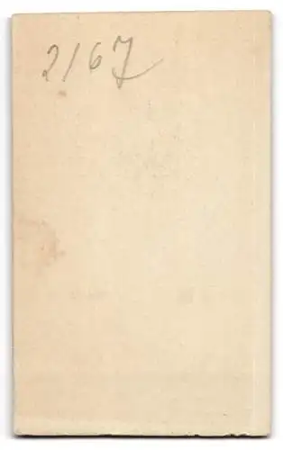 Fotografie Samson &amp Co., Bielefeld, Obernthorwall 31, Porträt eines Jugendlichen