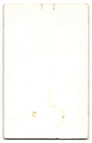 Fotografie Martin Frölich, Flensburg, Norderhofenden 9, Porträt eines Paares