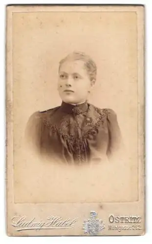 Fotografie Ludwig Habel, Ostritz, Mühlgasse 262, Porträt einer jungen Frau