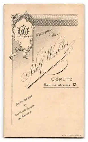 Fotografie Adolf Winkler, Görlitz, Berlinerstrasse 12, Porträt einer Dame