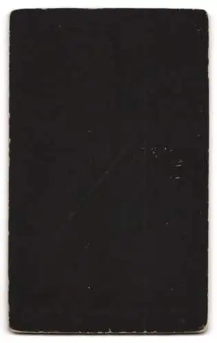 Fotografie Aug. Lutz, Gera, Neue Strasse 28, Porträt eines eleganten Herrn
