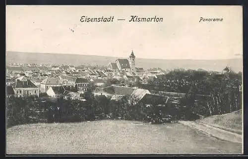 AK Eisenstadt, Panoramablick über die Ortschaft