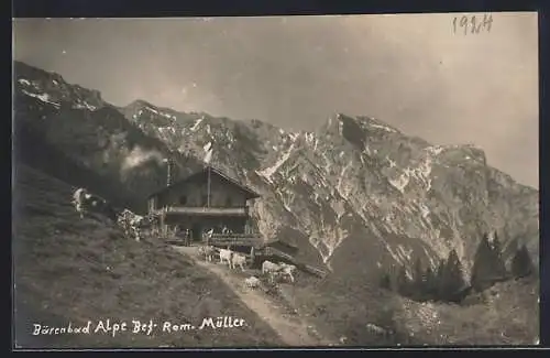 AK Bärenbad Alpe, Gasthaus v. Rom. Müller