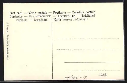 AK Hersbruck, XX. Mittelfränk. Bundesschiessen 1905, Festhalle v. Jobst Kohlenberger, Festszene