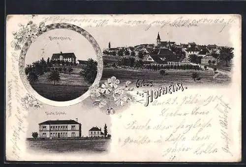 Lithographie Hofheim, Bettenburg, Distr. Spital, Totalansicht