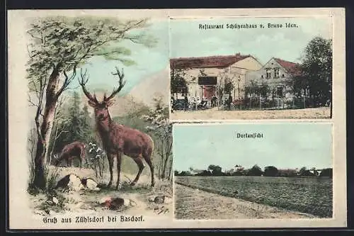 AK Zühlsdorf bei Basdorf, Restaurant Schützenhaus v. Bruno Iden, Ortsansicht