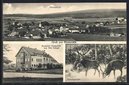 AK Hinzerath, Kurhotel HInzerath, Hirschgruppe, Ortsansicht