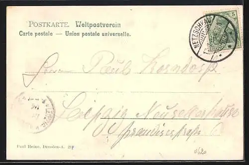 AK Netzschkau, VIII. Vogtl. Sängerbundesfest 1904, Sängerfesthalle mit Gasthaus Schützenhaus, Bismarckturm a. d. Kuhberg