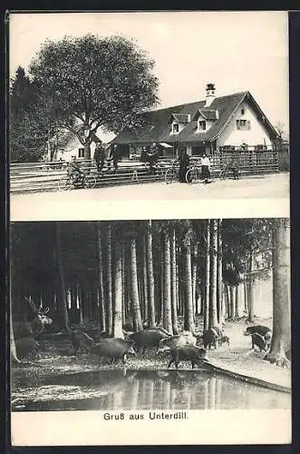 AK Unterdill, Gasthaus zum Forstenried, Waldpartie mit Hirsch und Wildschweinen