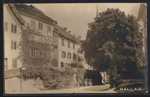 AK Hallau, Ortspartie mit Blick zur Drogerie