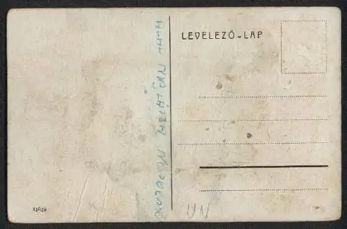 Leporello-AK Budakeszi, Erzsébet királyné szanatórium, B. pavillon, D. pavillon, Parkrészlet, E. pavillon
