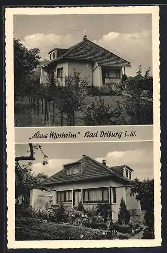 AK Bad Driburg i. W., Hotel-Pension Haus Moosheim mit Garten, Lange Strasse 1c