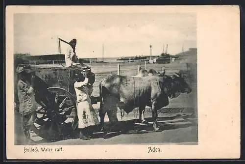 AK Aden, Bullock Water cart, Ochsengespann, Wasserkarren