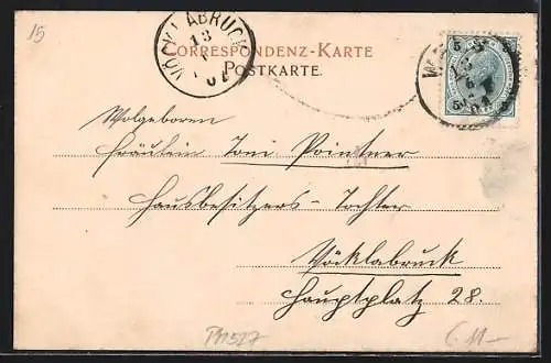 AK Wels, Totalansicht mit Brücke