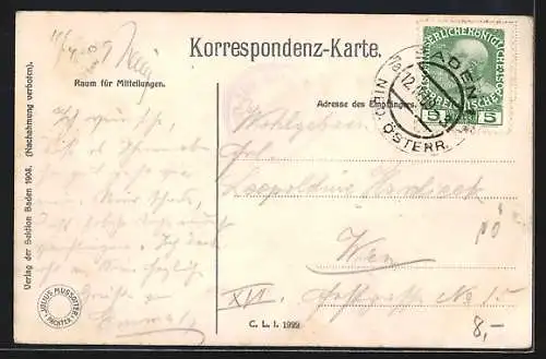 AK Baden /N.-Ö., Gasthaus Eisernes Tor, Rundblick vom Aussichtsturm, Gebirgspanorama