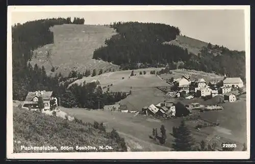 AK Puchenstuben, Blick über Dächer