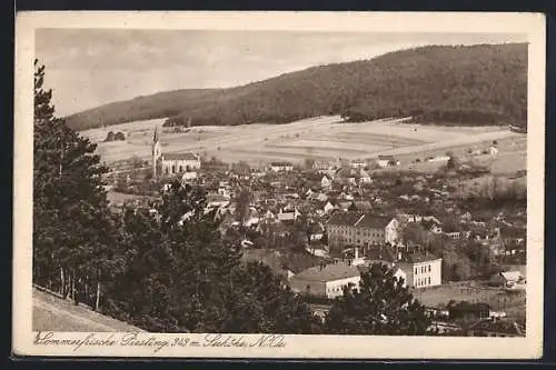 AK Piesting /N.-Oe., Teilansicht mit Kirche