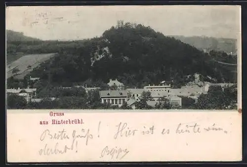 AK Hinterbrühl, Teilansicht mit Ruine