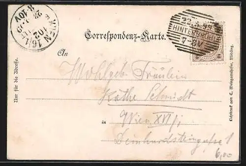 AK Hinterbrühl, Teilansicht mit Ruine