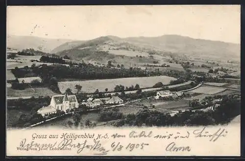 AK Raxendorf /N.-Ö., Gruss aus Heiligenblut, Strassenpartie mit Kirche
