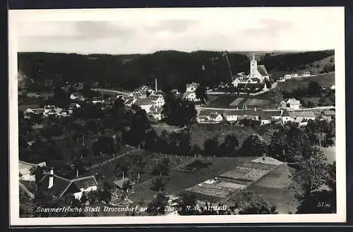 AK Drosendorf an der Thaya, Altstadt mit Kirche