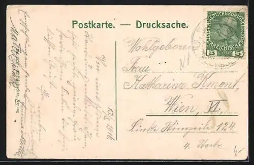 AK Feistritz am Wechsel, Teilansicht mit Strassenpartie